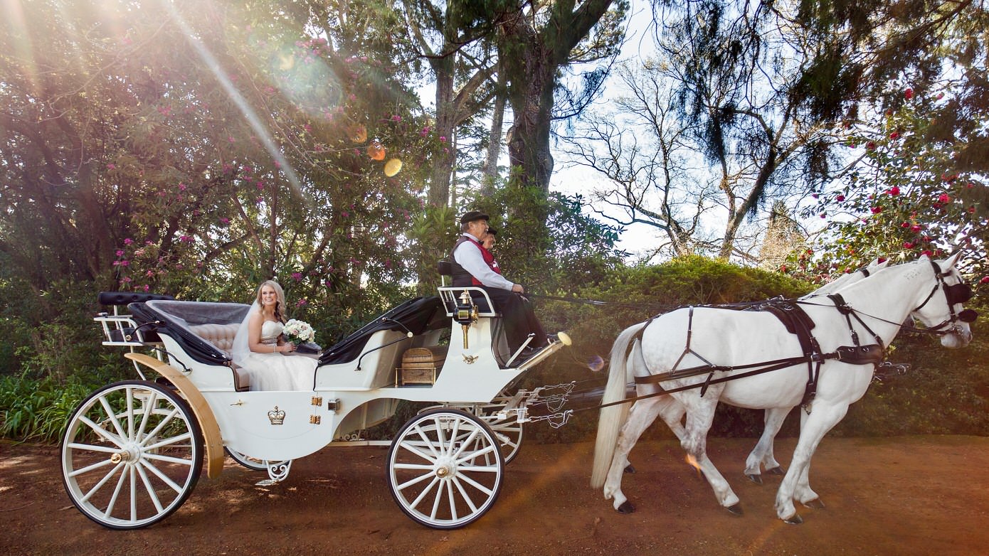 Wedding photography by Hilary Cam Photography, based in Sydney.